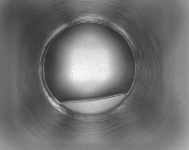 X0000073931042200608111020