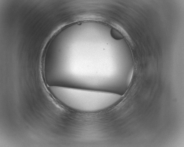 X0000073931043200608111020