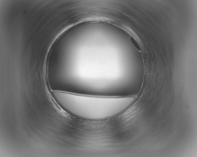 X0000073931044200608111020