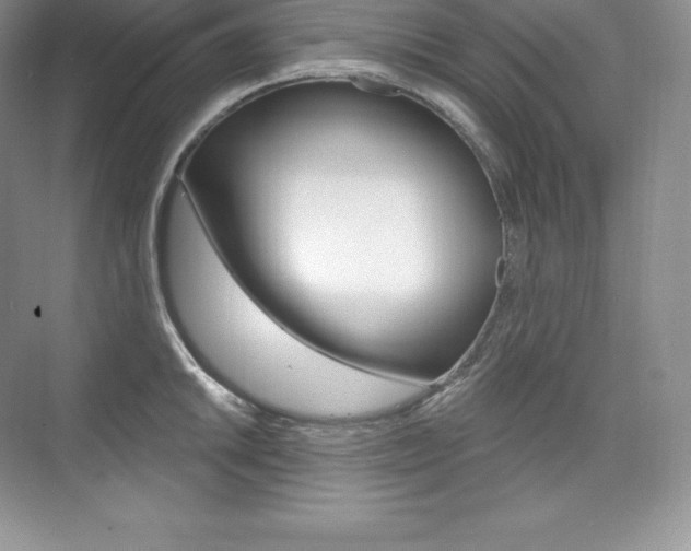 X0000073931046200608111020