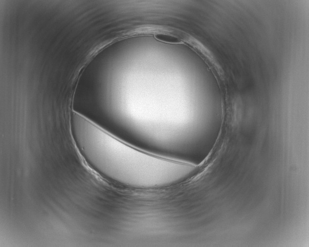 X0000073931049200608111020