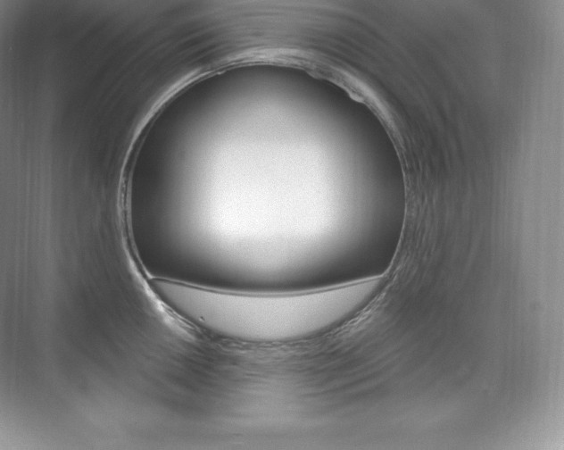 X0000073931050200608111020