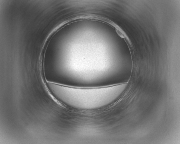 X0000073931053200608111021