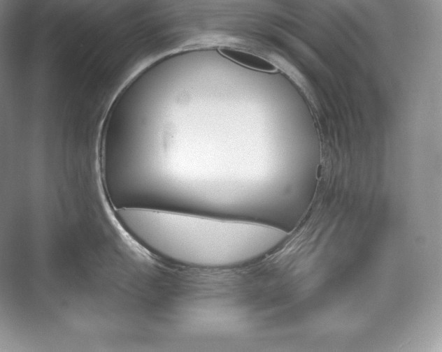 X0000073931055200608111021