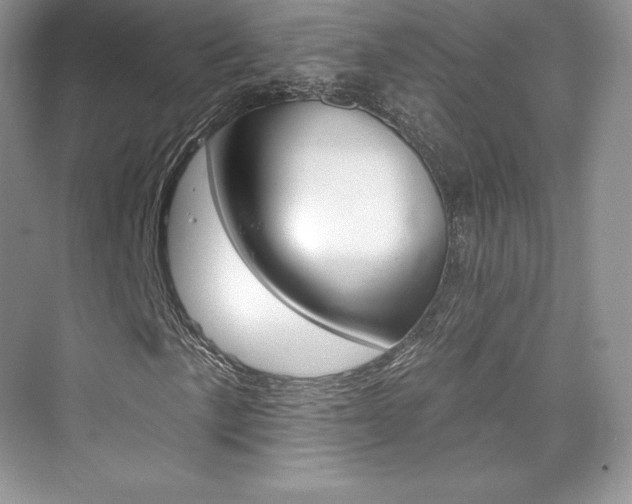 X0000073931057200608111020