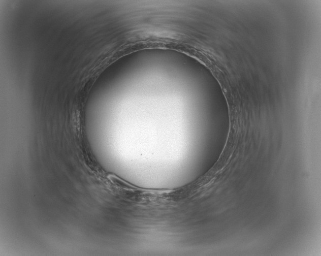 X0000073931061200608111020