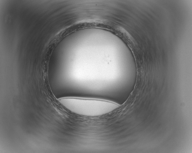 X0000073931064200608111020