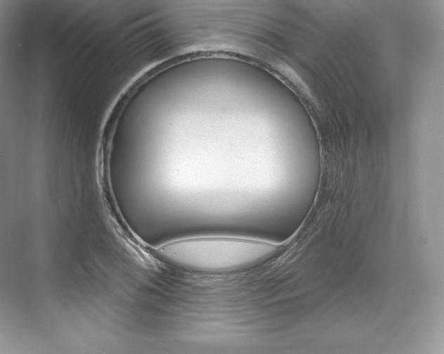 X0000073931076200608111019