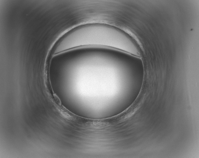 X0000073931077200608111019