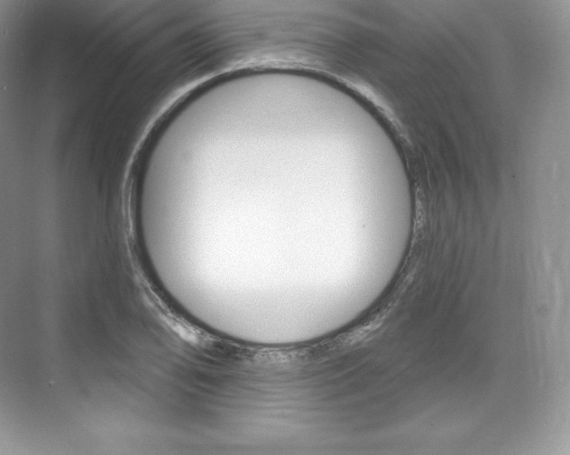 X0000073931078200608111019