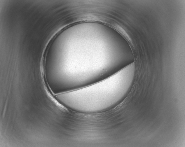 X0000073931084200608111019