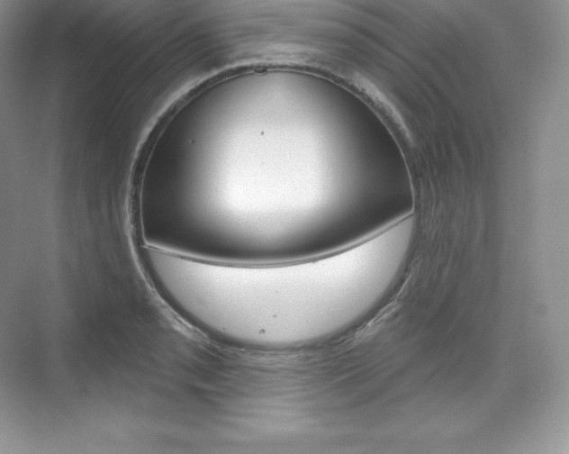 X0000073931085200608111019