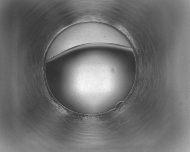 X0000073931089200608111019