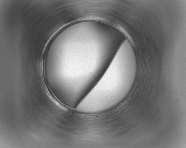 X0000073931092200608111019