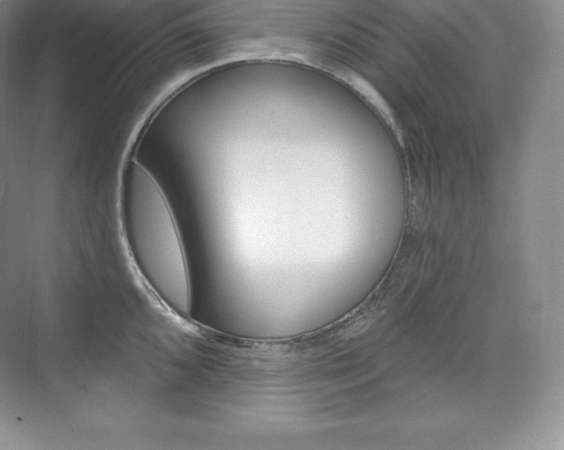 X0000073931096200608111019