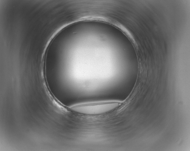 X0000073931102200608111019