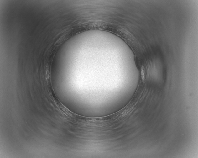 X0000073931107200608111018