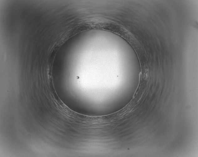 X0000073931108200608111018