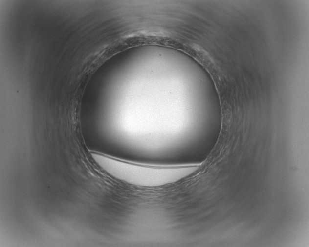 X0000073931110200608111018