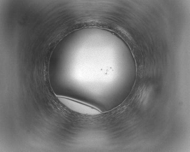 X0000073931111200608111018