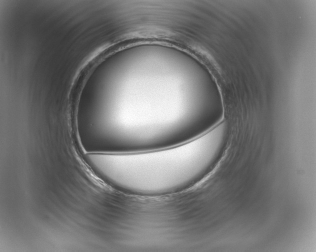 X0000073931114200608111018