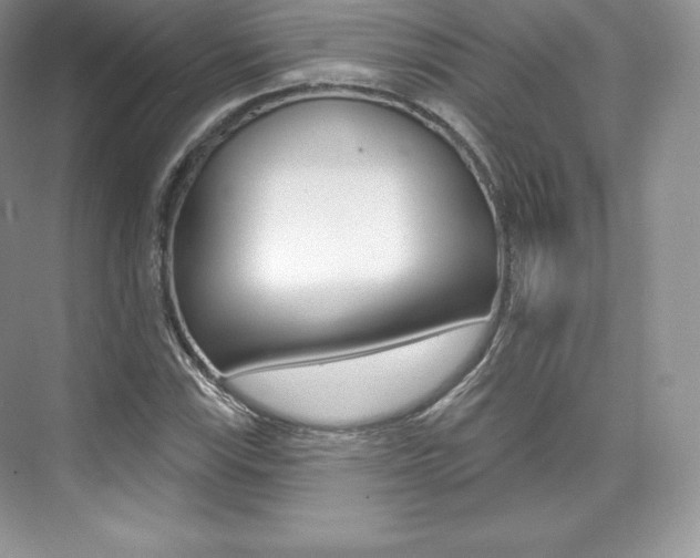 X0000073931115200608111018