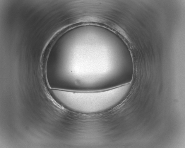 X0000073931116200608111018