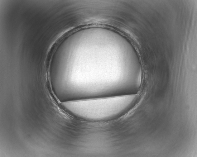 X0000073931117200608111018