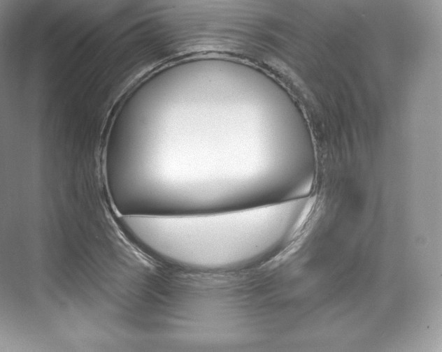 X0000073931121200608111018