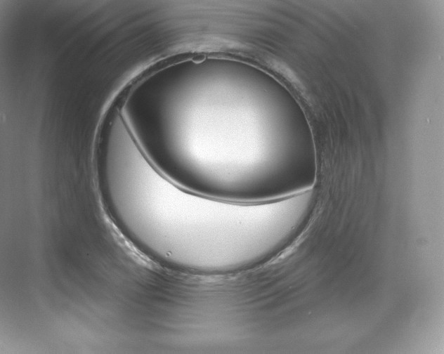 X0000073931122200608111018