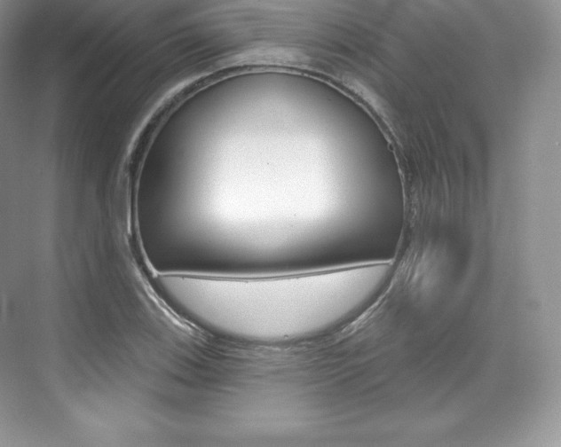 X0000073931123200608111018