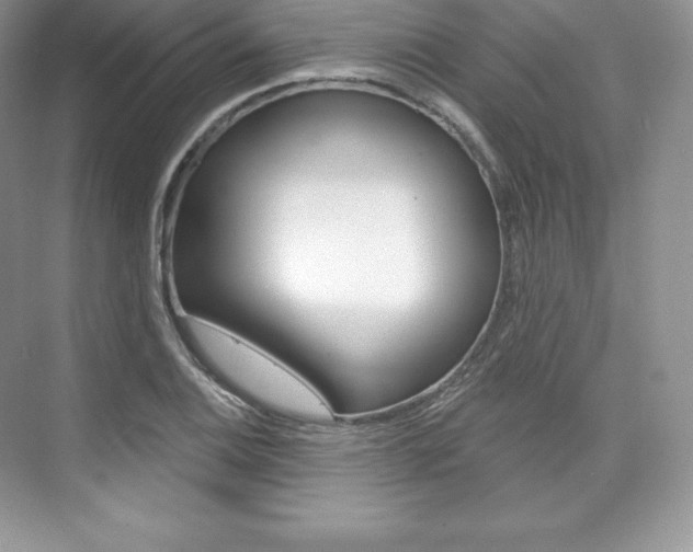 X0000073931124200608111019