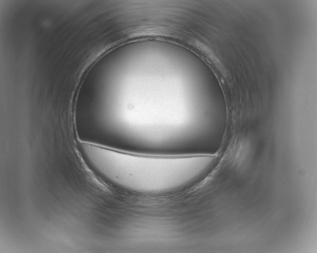 X0000073931129200608111019