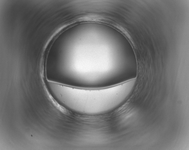 X0000073931131200608111019