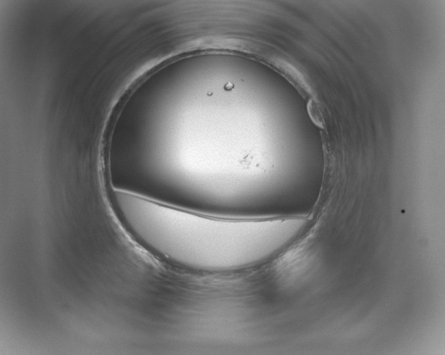 X0000073931133200608111019
