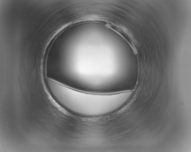 X0000073931134200608111019