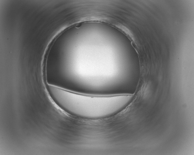 X0000073931135200608111019