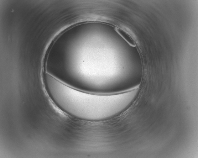 X0000073931136200608111019
