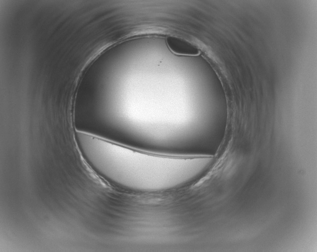 X0000073931137200608111019