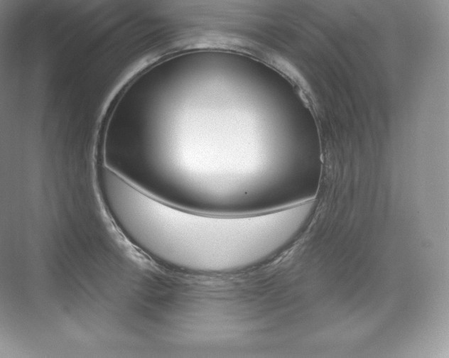 X0000073931138200608111019