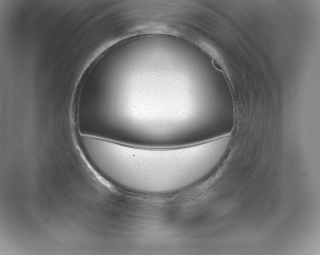 X0000073931141200608111019