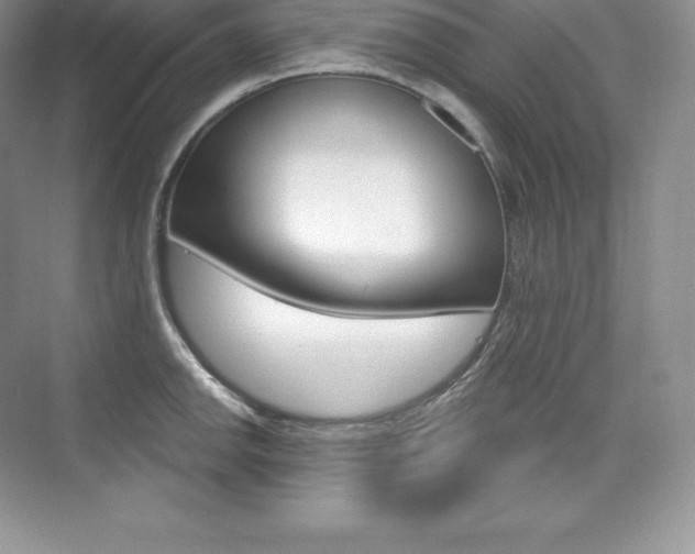 X0000073931142200608111019