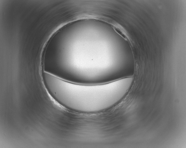 X0000073931143200608111019