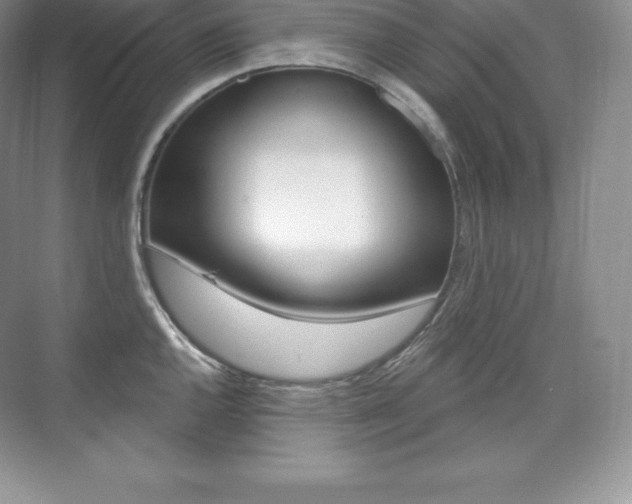 X0000073931144200608111019