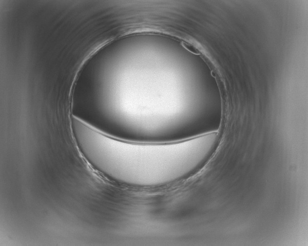 X0000073931145200608111019