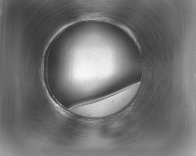 X0000073931147200608111019