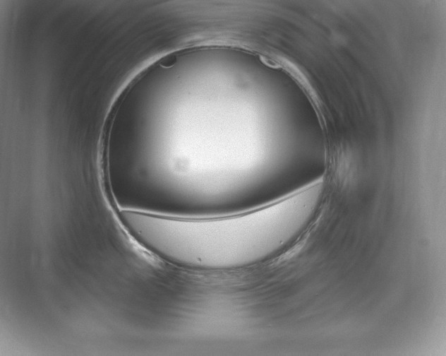 X0000073931149200608111019