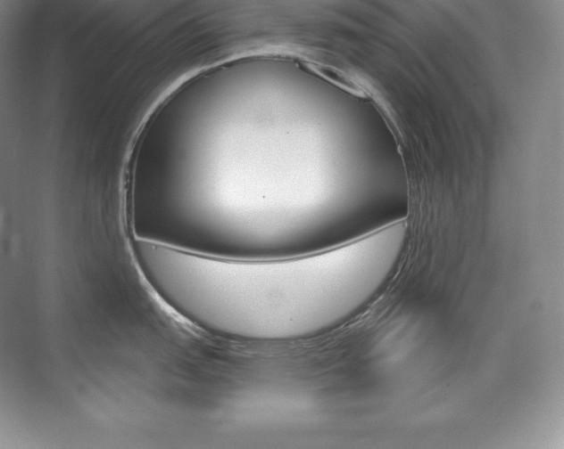 X0000073931151200608111019