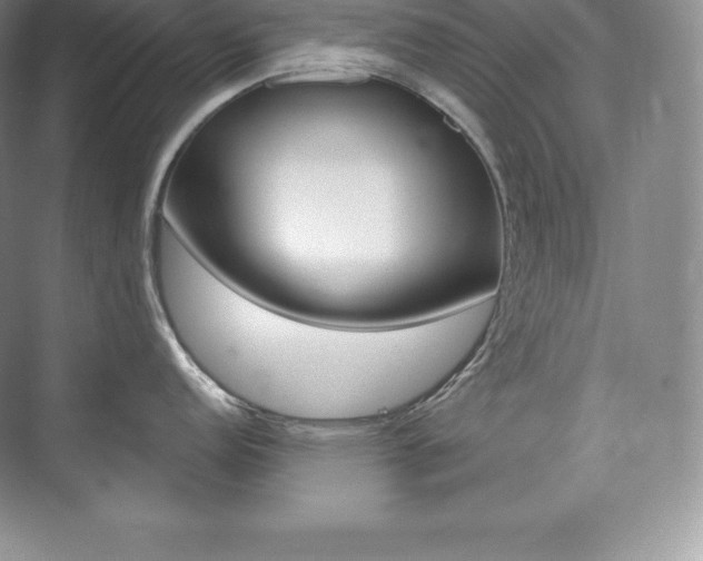X0000073931152200608111019