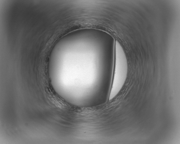 X0000073931153200608111018